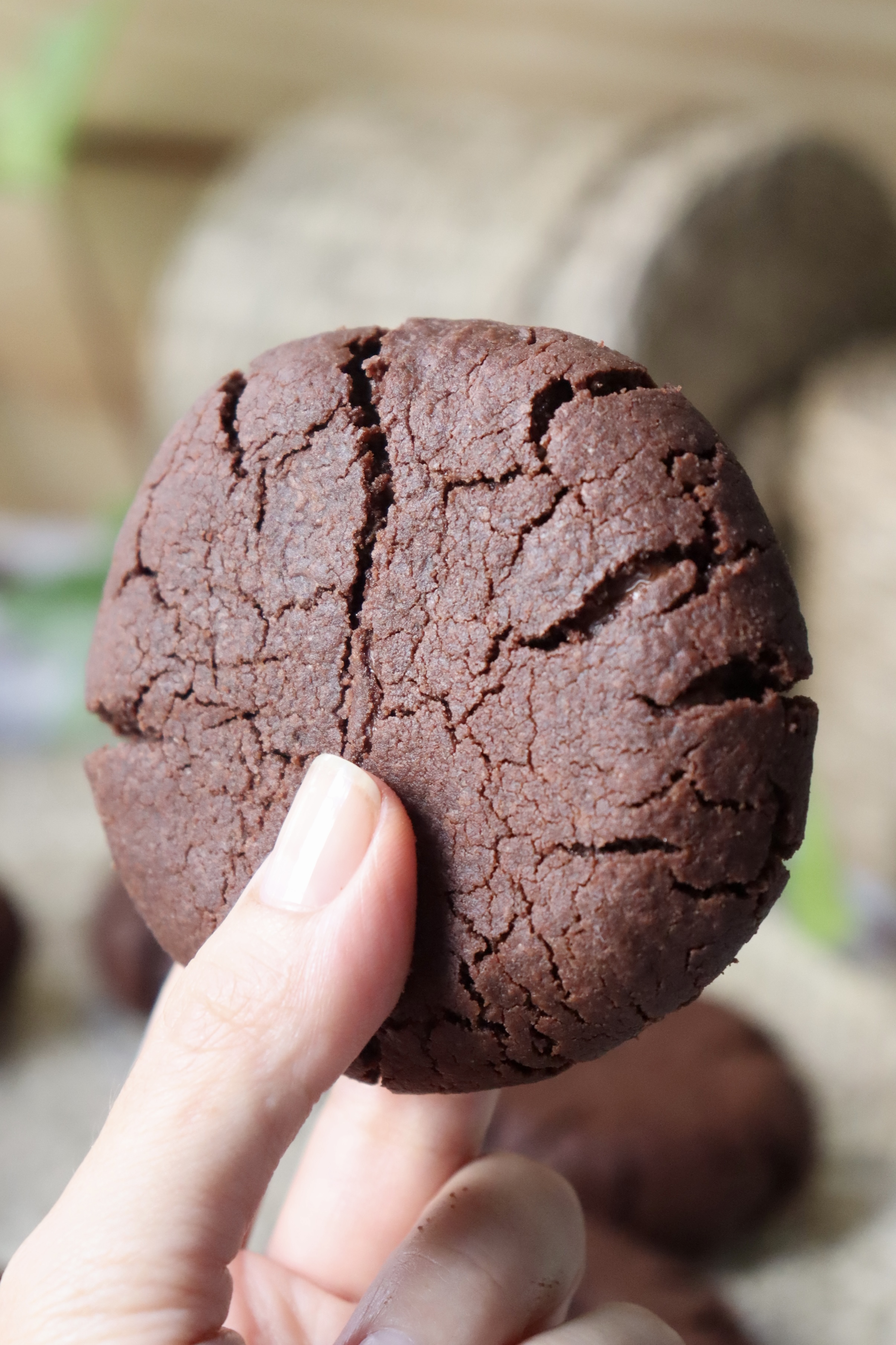 romisbakes recipe chocolate cookies with chocolate chips and Nutella