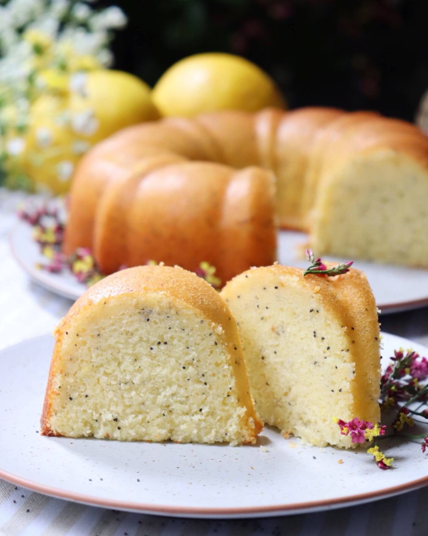 romisbakes recipe lemon, ricotta & poppy seed cake