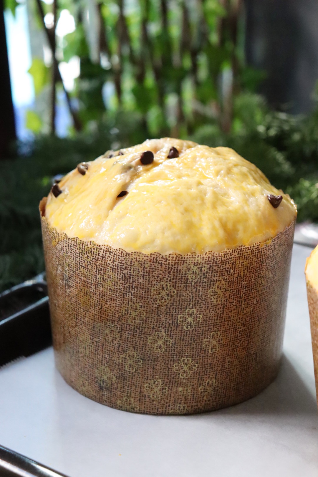 romisbakes recipe panettone with chocolate