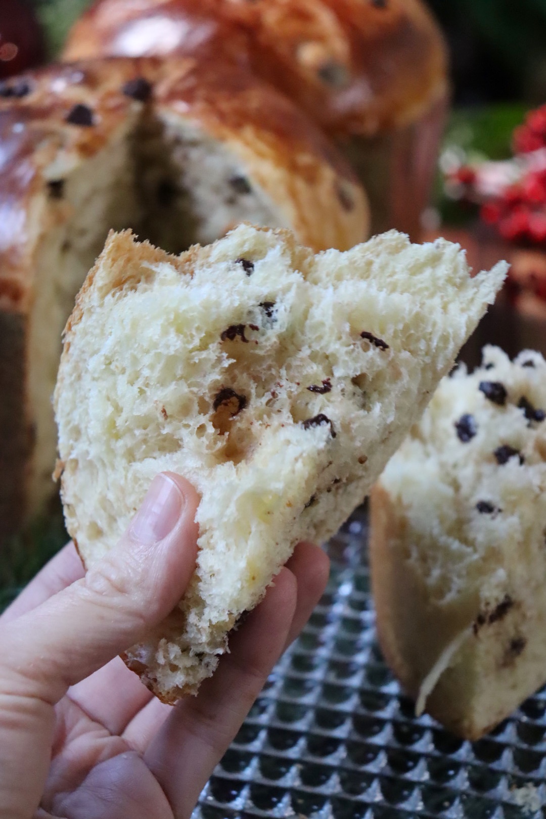 romisbakes recipe panettone with chocolate